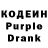 Кодеиновый сироп Lean Purple Drank Aryam Velazquez